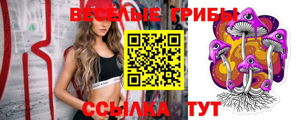 Псилоцибиновые грибы Cubensis Богородск