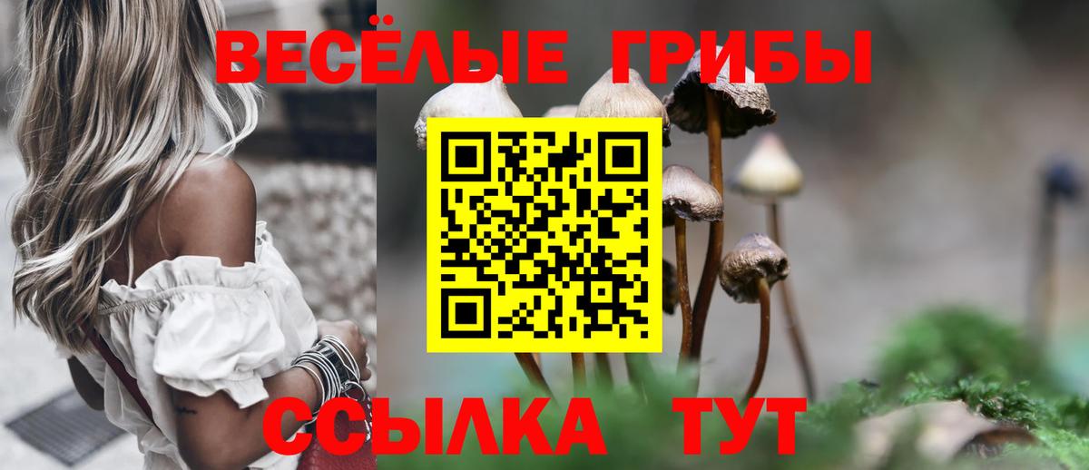 дарнет шоп  Вход с VPN  Псилоцибиновые грибы Cubensis  Богородск  Псилоцибиновые грибы Magic Shrooms 